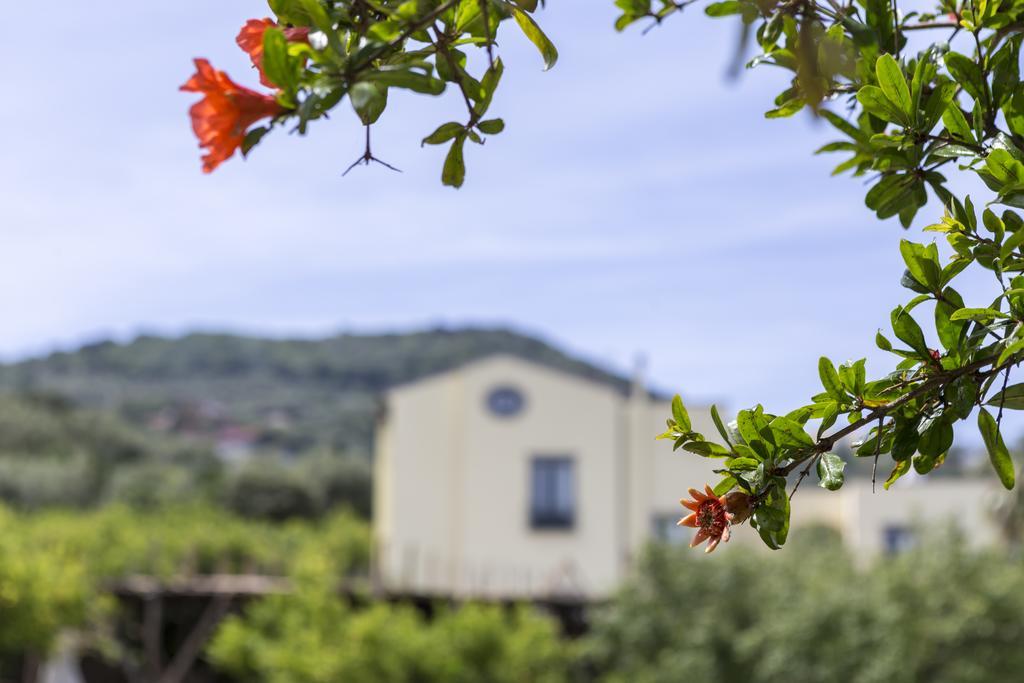 Relais Regina Giovanna Hotel Sorrento Exterior photo